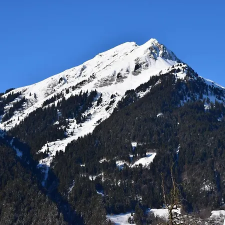 Daire Willi Sankt Gallenkirch
