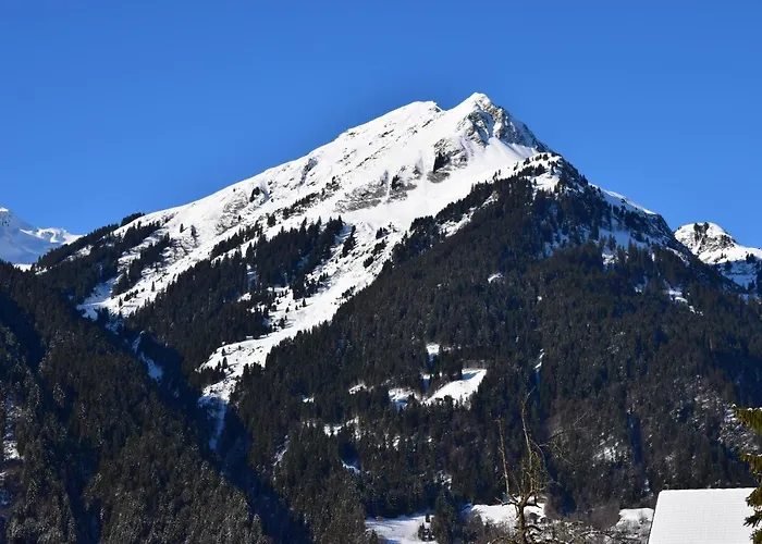 Apartment Willi Sankt Gallenkirch